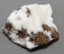 Photo of Astrophyllite from Kola Peninsula, Russia, mineral crystal specimen