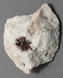 Photo of Astrophyllite from Kola Peninsula, Russia, mineral crystal specimen