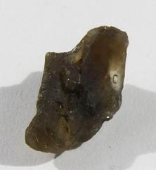 Photo of darwin glass meteorite from Tasmania similar to moldavite metaphysical crystal