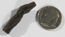 Photo of darwin glass meteorite from Tasmania similar to moldavite metaphysical crystal