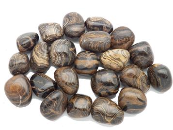Photo of fossil algae stromatolite from Peru